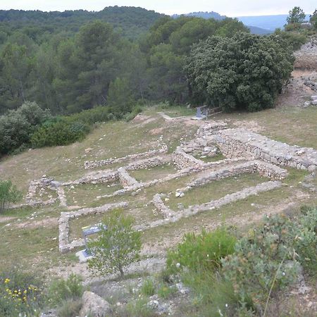 Domaine Shambala - Maison D'Hote En Provence - Piscine Chauffee Velaux Dış mekan fotoğraf
