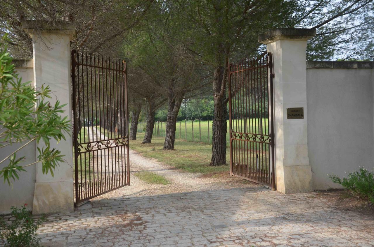 Domaine Shambala - Maison D'Hote En Provence - Piscine Chauffee Velaux Dış mekan fotoğraf