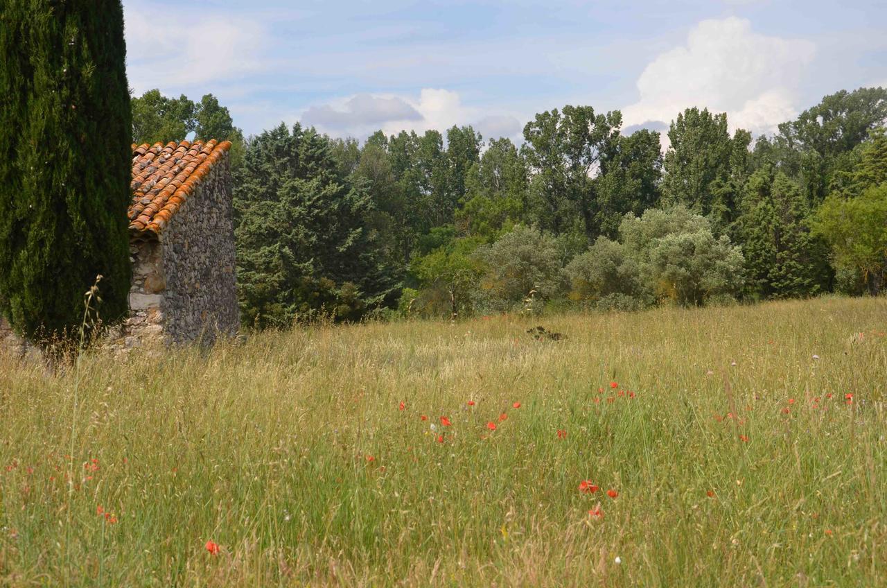 Domaine Shambala - Maison D'Hote En Provence - Piscine Chauffee Velaux Dış mekan fotoğraf